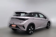 2026 BYD Dolphin 2025 Smart Drive 410km Fashion #2