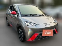 2024 BYD Seagull 2023 freeEdition #3