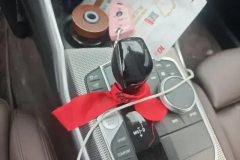 2019 BMW 3 Series 2020 2.0T AT 325Li MM Sport Shadow #14