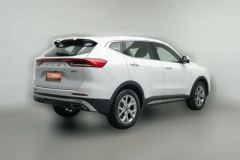 2021 Haval H6 2021 1.5T AT China tideChampion #2
