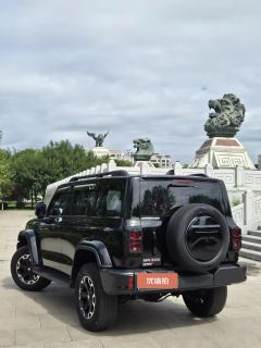 2024 Tank 300 PHEV 2024 2.0T AT Hi4-T #8
