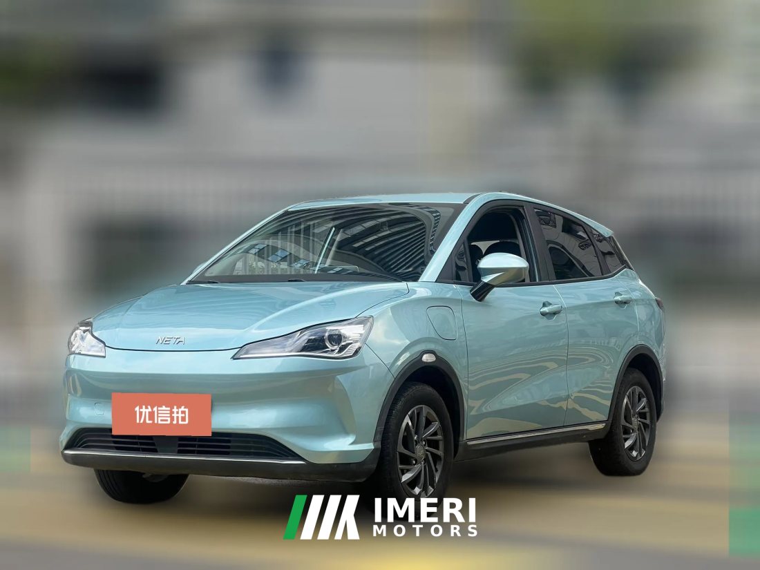 2022 Neta V 2022 tide 300 Lite LFP