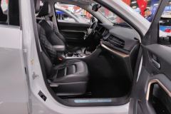 2021 Haval H6 2021 1.5T AT ChampionGDI #8