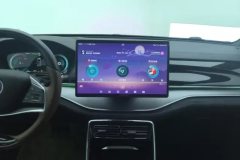 2022 BYD Tang PHEV 2021 1.5T AT DM-i 112KM Honor #13
