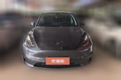 2021 Tesla Model Y 2021Long Rangeall wheel driveEdition 3D7 #2