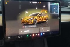 2023 Tesla Model 3 2022 rear wheel driveEdition #13