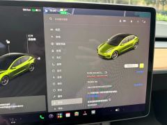 2021 Tesla Model 3 2021 PerformancehighPerformanceall wheel driveEdition #17
