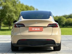2023 Tesla Model Y 2023 rear wheel driveEdition #5