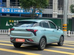 2022 Neta V 2022 tide 300 Lite LFP #6
