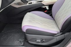 2024 BYD Dolphin 2025 520km knightEdition #21