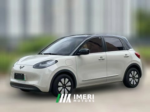 2024 Wuling Motors Wuling Bingo 2024 333km LingxiConnected