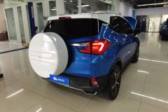 2019 BYD Yuan New Energy 2019 EV535High EnergyPilot EV #3