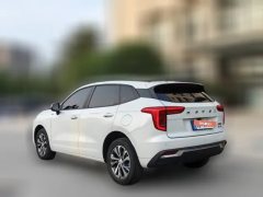 2022 Haval Chulian 2021 1.5T AT Large1Edition #9