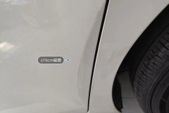 Left Rear Door