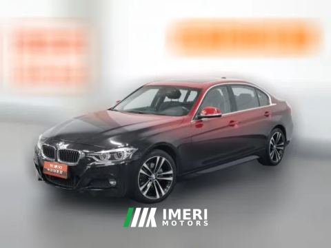 2019 BMW 3 Series 2019 2.0T AT 320Li MLuxury Pkg