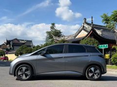 2024 BYD Dolphin 2023 420km Fashion #4