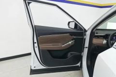 2025 GAC Trumpchi Trumpchi GS4 2024 MAX 1.5T AT Flagship #7