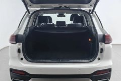 2021 GAC Trumpchi Trumpchi GS5 2021 Advanced 270T TechSmart Lead #20