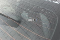 Rear Windshield