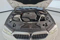 2020 BMW 5 Series 2021 2.0T AT 530LiLeadingLuxury Pkg #10