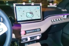 2024 BYD Seagull 2025 305km freeEdition #13