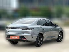 2024 BYD Destroyer 05 2023 Champion 1.5L AT DM-i 120KM Premium #4