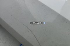 Trunk Lid