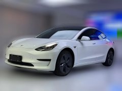 2019 Tesla Model 3 2019 StandardBattery lifeRWDUpgradeEdition EV #1