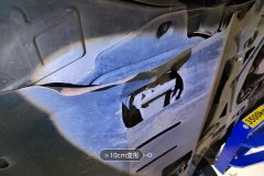 Engine Under Cover