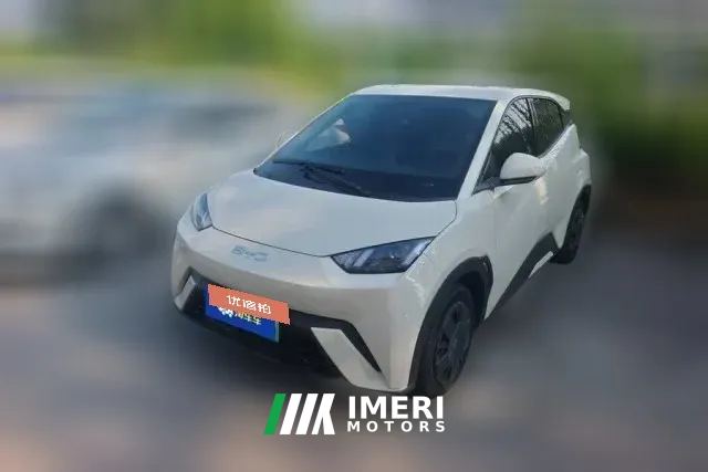 2025 BYD Seagull 2024 Glory 305km vitalityEdition