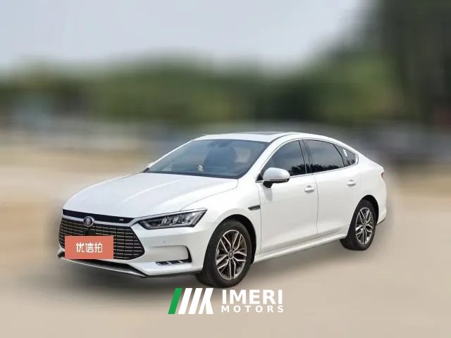 2019 BYD Qin Pro 2018 EV500Smart ConnectLead Yao EV