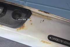 Trunk Lid