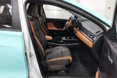 2021 BYD e2 2021 Luxury #22