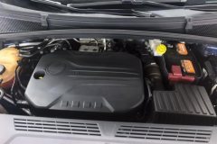 2021 Roewe iMAX8 2021 2.0T AT 400TGISupremeSeriesHonor #10