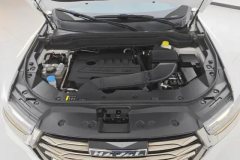 2021 Haval H6 2021 1.5T AT China tideChampion #10