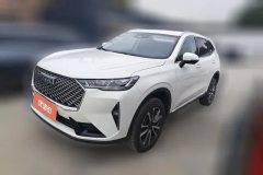 2025 Haval H6 2024 1.5T AT 2WDClassic #1