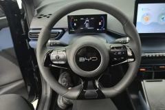 2024 BYD Seagull 2024 Glory 305km vitalityEdition #15
