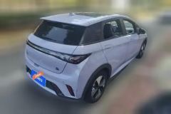 2023 BYD Dolphin 2023 420km Fashion #3