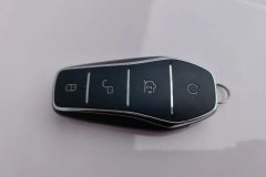 2024 BYD Seal 2024 Glory DM-i 1.5L AT 121kmLuxury #10