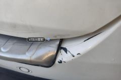 Trunk Lid