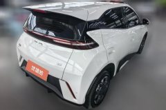 2024 BYD Seagull 2024 Glory 305KM freeEdition #3