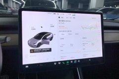 2021 Tesla Model 3 2020 StandardBattery lifeRWDUpgradeEdition #14