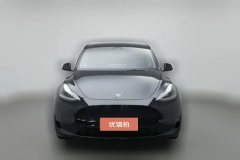 2021 Tesla Model Y 2021StandardBattery lifeRWDEdition #3