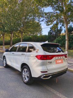 2024 Haval M6 2021 PLUS 1.5T AT DCTLiu Yan joint nameEdition #5
