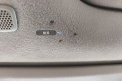 Roof Lining