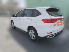 2021 Haval M6 2021 1.5T AT DCTEliteSmart ConnectPLUS #7