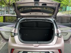 2022 BYD Dolphin 2021 405km Fashion #15