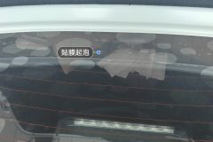 Rear Windshield