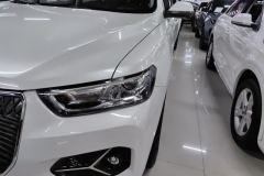 2021 Haval H6 2021 1.5T AT ChampionGDI #5