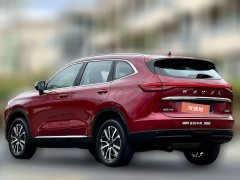 2021 Haval H6 2021 1.5T AT No.3generation2WDPro #3